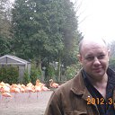 ���� �����, ��������, 50 ��� - ��������� 23 ������ 2012 � ������ ���� ����������