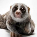 ���� ������, ��������, 30 ��� - ��������� 12 ���� 2010