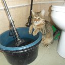 ���� �����, ������-��-����, 50 ��� - ��������� 25 ������ 2013 � ������ ���� ����������