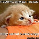 ���� �����, ������, 48 ��� - ��������� 12 ������� 2013 � ������ ���� ����������