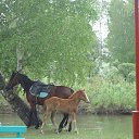 ���� �������, ������, 64 ���� - ��������� 10 ���� 2013 � ������ �������� �����