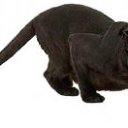 ���� Azitta, ������, 44 ���� - ��������� 31 ������ 2012