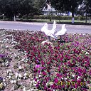 ���� �����, ������-��� - ��������� 22 ���� 2013 � ������ ���� ����������