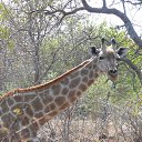 ���� ����� �����, ������, 69 ��� - ��������� 14 ��� 2012