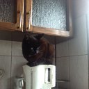 ���� ����, ��������, 49 ��� - ��������� 18 ������� 2010 � ������ �������