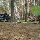 ���� ����, �����-���������, 44 ���� - ��������� 27 ���� 2013 � ������ ���� ����������