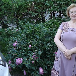 ������� �������, ����, 67 ���