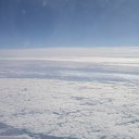 ���� ����, �����-���������, 44 ���� - ��������� 29 ������ 2009 � ������ �������