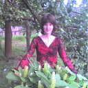  Alina, , 36  -  27  2011    