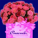���� ����, �������� - ��������� 25 ���� 2013