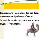  ,  -  17  2009          ...
