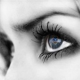 �����, ������