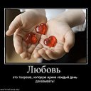   ...),  , 33  -  29  2010    ...)
