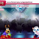  , , 33  -  12  2011   PetLove