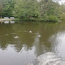  , , 52  -  28  2013     21-23.05.2013