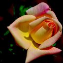 ���� ������, �����, 53 ���� - ��������� 22 ������� 2009 � ������ ����� �� ������� ����