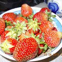 ���� �����, ���������, 57 ��� - ��������� 28 ���� 2012 � ������ �������