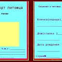  "",  -  2  2011    .