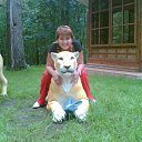 ���� ������, ������ - ��������� 25 �������� 2011 � ������ ���� ����������