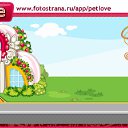  ******, , 24  -  2  2011   PetLove