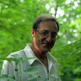 ������, ������, 62 ����