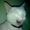 ���� Wer, ������, 57 ��� - ��������� 5 ����� 2010 � ������ �������-������