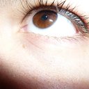 ���� ���������, ������-����������, 36 ��� - ��������� 6 ������� 2011 � ������ ���� ����������