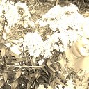 ���� �������, ������, 50 ��� - ��������� 6 ������� 2012 � ������ ���� ����������