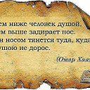 ���� �������, ������, 51 ��� - ��������� 8 ����� 2013 � ������ ������� ��ʻ
