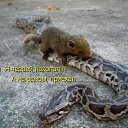  , -, 54  -  12  2010   