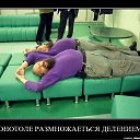 ���� ��������, �������, 64 ���� - ��������� 5 ����� 2010 � ������ ��������������