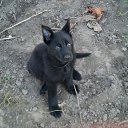  Vlad,  -  26  2013   λ