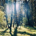 ���� ������, ����, 55 ��� - ��������� 30 ���� 2010 � ������ ��������