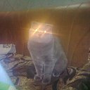 ���� �����, �������, 28 ��� - ��������� 21 ������� 2010 � ������ �������� ��� ���