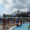   , , 43  -  3  2010    2010