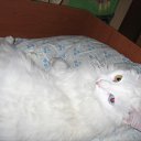 ���� ������, ��������, 48 ��� - ��������� 10 ������ 2010