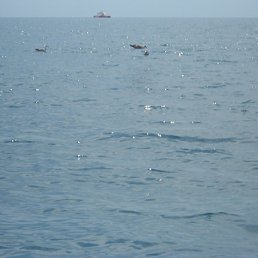 Lena, ���������, 38 ���