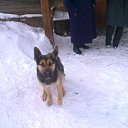 ���� ���������, ������-������, 36 ��� - ��������� 23 ������� 2011 � ������ ���� �����