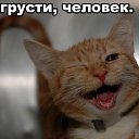 ���� !!!!! �����!!!!!, ���� - ��������� 15 ������� 2012 � ������ ������ ��������