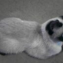 ���� ���@����@, �������, 49 ��� - ��������� 14 ����� 2010 � ������ ���� �����