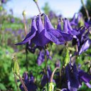 ���� ������, ������ - ��������� 25 ��� 2012 � ������ ���� ����������