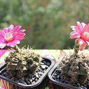 ���� ������, ������, 69 ��� - ��������� 5 ������ 2013 � ������ ���� ��������� ����������