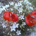 ���� �����, �������, 71 ��� - ��������� 19 ������ 2012