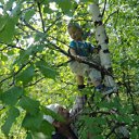 ���� ���, ����������, 61 ��� - ��������� 29 ���� 2012 � ������ ���� ����������