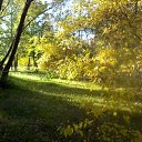 ���� ���, ����� - ��������� 20 �������� 2010 � ������ ��������� ������������