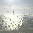 ���� ������, ���������, 49 ��� - ��������� 4 ������� 2012 � ������ �����������