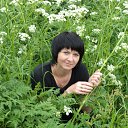 ���� ��������, ���������, 48 ��� - ��������� 25 ���� 2012 � ������ ���� ����������