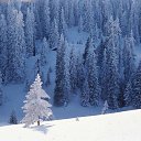 ���� �����, ��������, 56 ��� - ��������� 11 ��� 2013 � ������ ���� ����������