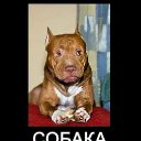 ���� Vladimir, ������������, 86 ��� - ��������� 24 ������� 2011