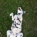 "� ������" :D �� ������� �������